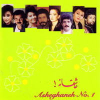 Image of Fataneh linking to their artist page due to link from them being at the top of the main table on this page