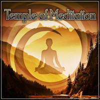 Thumbnail for the White Noise Meditation - Asian Zen link, provided by host site
