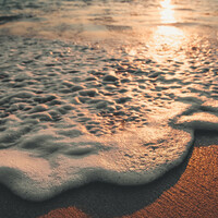 Thumbnail for the Sounds of Nature Relaxation - Asian Zen Meditation link, provided by host site