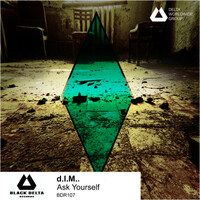 Thumbnail for the D.I.M. - Ask Yourself link, provided by host site