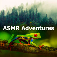 Thumbnail for the Deep Forest - ASMR Adventures link, provided by host site