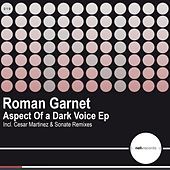 Thumbnail for the Roman Garnet - Aspect Of a Dark Voice link, provided by host site