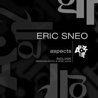 Thumbnail for the Eric Sneo - Aspects link, provided by host site