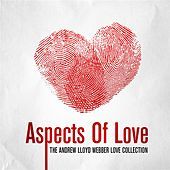 Thumbnail for the Chris Corcoran - Aspects Of Love - Love Changes Everything link, provided by host site