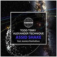 Thumbnail for the Todd Terry - Assid Shake link, provided by host site