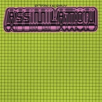 Thumbnail for the Róisín Murphy - Assimilation link, provided by host site