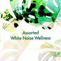Thumbnail for the White Noise Therapy - Assorted White Noise Wellness link, provided by host site