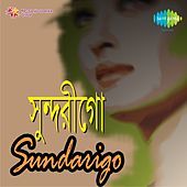 Thumbnail for the Kumar Sanu - Aste Mana (Original) link, provided by host site
