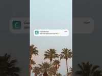 Thumbnail for the blink-182 - At Coachella 2023 - Sahara Tent link, provided by host site