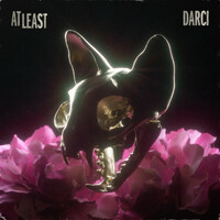 Thumbnail for the Darci - At Least link, provided by host site