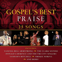 Thumbnail for the Mighty Clouds Of Joy - At the Revival link, provided by host site
