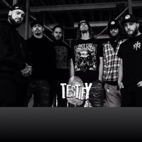 Thumbnail for the Testify - At Trial link, provided by host site
