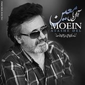 Thumbnail for the Moein - Atashe Del link, provided by host site