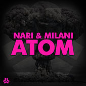 Thumbnail for the Nari - Atom link, provided by host site