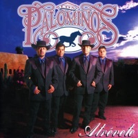 Image of Los Palominos linking to their artist page due to link from them being at the top of the main table on this page