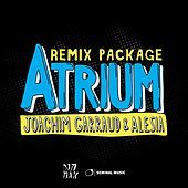 Thumbnail for the Joachim Garraud - Atrium Remix Package link, provided by host site