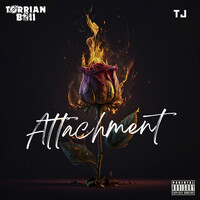 Thumbnail for the Torrian Ball - Attachment link, provided by host site