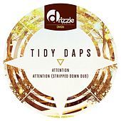 Thumbnail for the Tidy Daps - Attention link, provided by host site