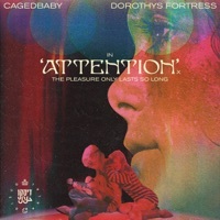 Thumbnail for the Dorothys Fortress - Attention link, provided by host site