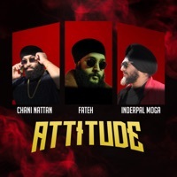 Thumbnail for the Chani Nattan - Attitude link, provided by host site