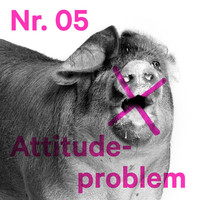 Thumbnail for the Karpe Diem - Attitudeproblem link, provided by host site