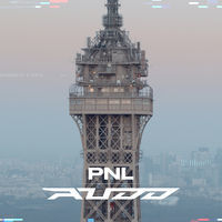 Thumbnail for the PNL - Au DD link, provided by host site