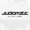 Thumbnail for the Audiomatic - Audiomatic Dj-Mix Winter 2012 link, provided by host site