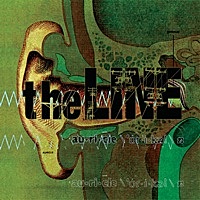 Thumbnail for the The Line - Auricle link, provided by host site