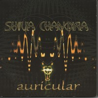 Thumbnail for the Shiva Chandra - Auricular link, provided by host site