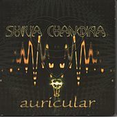 Thumbnail for the Shiva Chandra - Auricular link, provided by host site