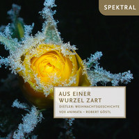 Thumbnail for the Traditional - Aus einer Wurzel zart - Distler: Weihnachtsgeschichte link, provided by host site