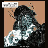 Thumbnail for the The Joy Formidable - Austere link, provided by host site