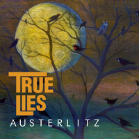 Thumbnail for the True Lies - Austerlitz link, provided by host site