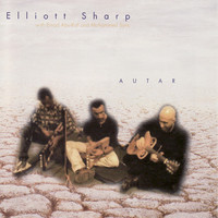 Thumbnail for the Elliott Sharp - Autar link, provided by host site