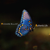 Thumbnail for the Richard Elliot - Authentic Life link, provided by host site