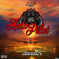 Thumbnail for the Cico P - Auto Pilot link, provided by host site