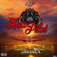 Thumbnail for the Cico P - Auto Pilot link, provided by host site