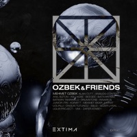 Thumbnail for the OZBEK - Auto Pilot link, provided by host site
