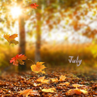 Thumbnail for the July - Autumn link, provided by host site