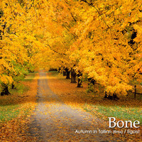 Thumbnail for the Tow - Autumn In Tallinn (Bone Remix) - Bone Remix link, provided by host site