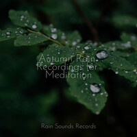 Thumbnail for the Meditation Spa - Autumn Rain Recordings for Meditation link, provided by host site