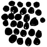 Thumbnail for the David Grubbs - Aux Noctambules link, provided by host site