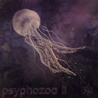 Thumbnail for the Globular - Avalong link, provided by host site