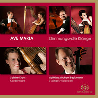 Thumbnail for the Anonymous  - Ave Maria link, provided by host site