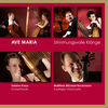 Thumbnail for the Matthias Michael Beckmann - Ave Maria: Stimmungsvolle Klänge link, provided by host site