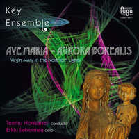 Thumbnail for the Bror Samuelson - Ave Maris Stella (Samuelson, Bror) link, provided by host site