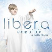 Thumbnail for the Libera - Ave verum link, provided by host site