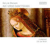 Thumbnail for the Currende - Ave Virgo Sanctissima link, provided by host site
