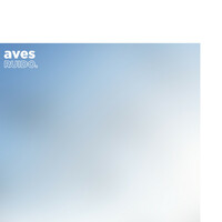 Image of Ruido linking to their artist page due to link from them being at the top of the main table on this page