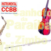 Thumbnail for the Zimbo Trio - Avião link, provided by host site